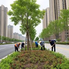 贝博艾佛森 东丽市政工程绿化资质